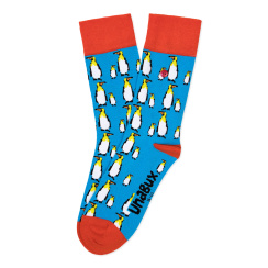 PINGU BLUE 41 - 46