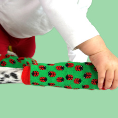 FLIP 22-24 (24-30 month)
