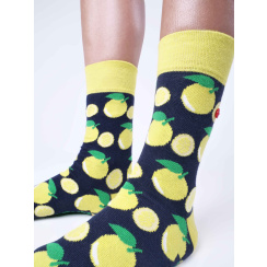 CITRUS 36 - 40