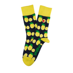 CITRUS 36 - 40