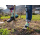 EASTER TIME 36 - 40