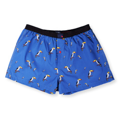 BLUE TUCAN
