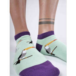 PURPLE TUCAN 36-40