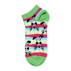 SHORT STRIPED RABBIT