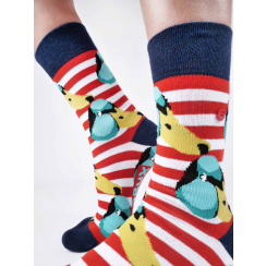 DUCKS & STRIPES