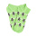 GREENHORN